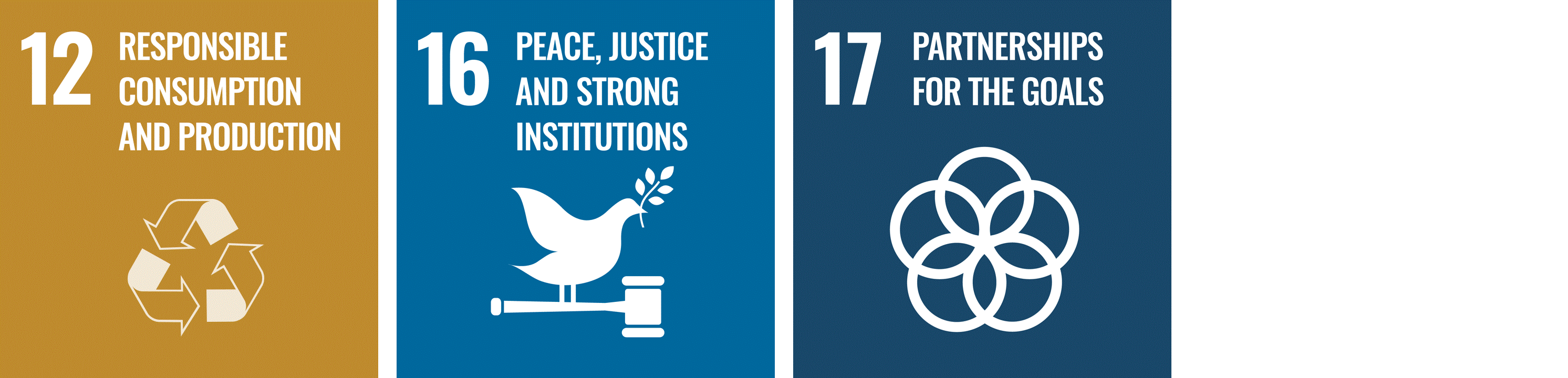 Animation displaying Diona's focus on SDGs 12, 16, and 17, symbolising our efforts in responsible consumption, promoting justice and peace, and building effective partnerships.