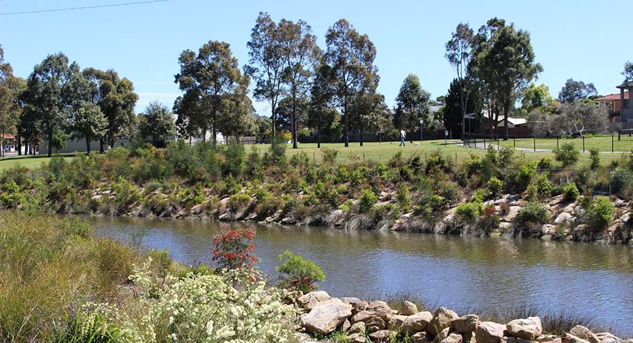Diona's completed Powells Creek Naturalisation project showcasing stormwater and ecological improvements.