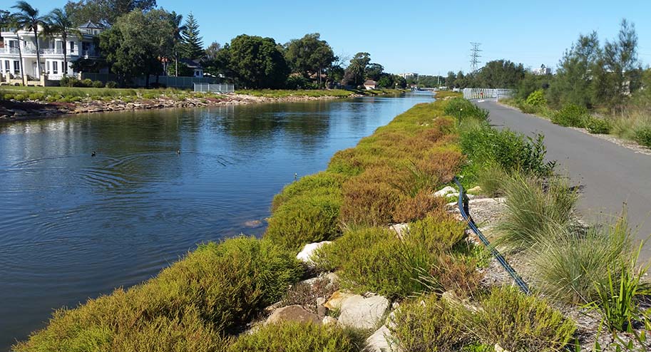 Powells Creek Naturalisation: Enhancing green spaces and biodiversity